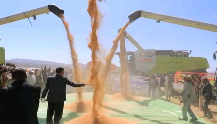 فضيحة مجلجلة .. منظمة دولية تفضح ادعاءات حوثية بشأن إنتاج الحبوب وتوضح الحقيقة