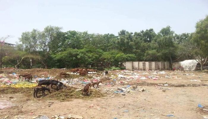 في الحوبان | قادة حوثيون يستولون على حديقة حكومية.. المتنفس الأبرز والأكبر لمحافظتين