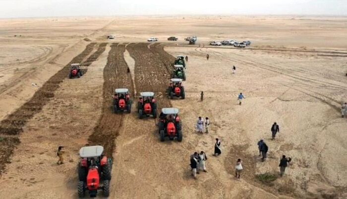 فضيحة جديدة | سرقة الحصاد.. الحوثي ينهب قمح مزارعي الجوف ويبتلع مليار ريال من عرق الفلاحين