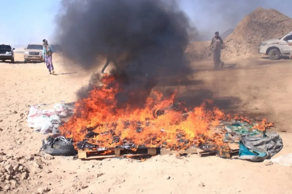 إتلاف 327 كيلوجراماً من الحشيش المضبوط في محاولات تهريب إلى مأرب