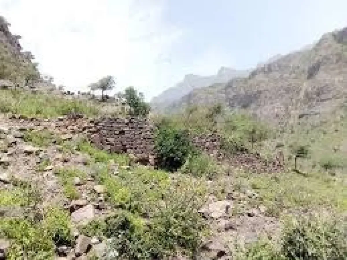 مقتل وإصابة 5 حوثيين بقصف مدفعي حكومي غرب تعز