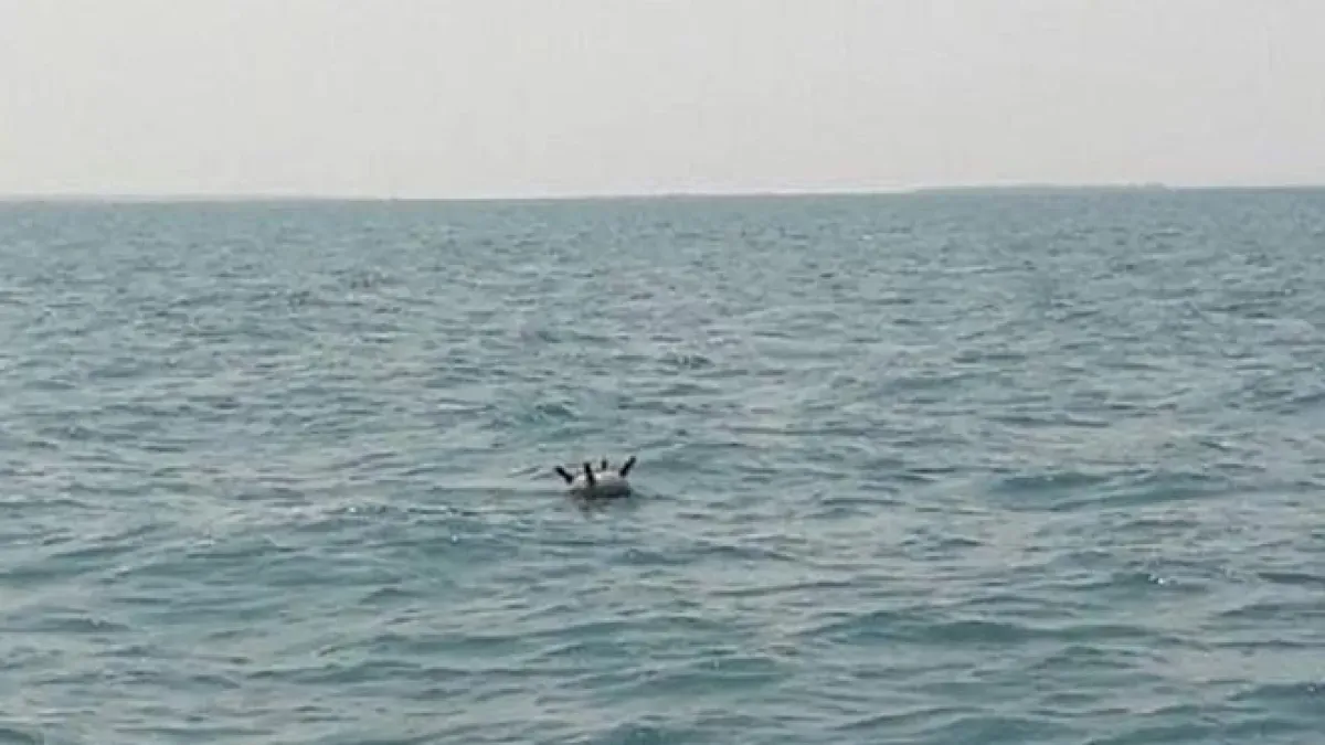 مقتل ثلاثة صيادين وإصابة آخرين بانفجار لغم حوثي قبالة سواحل الحديدة