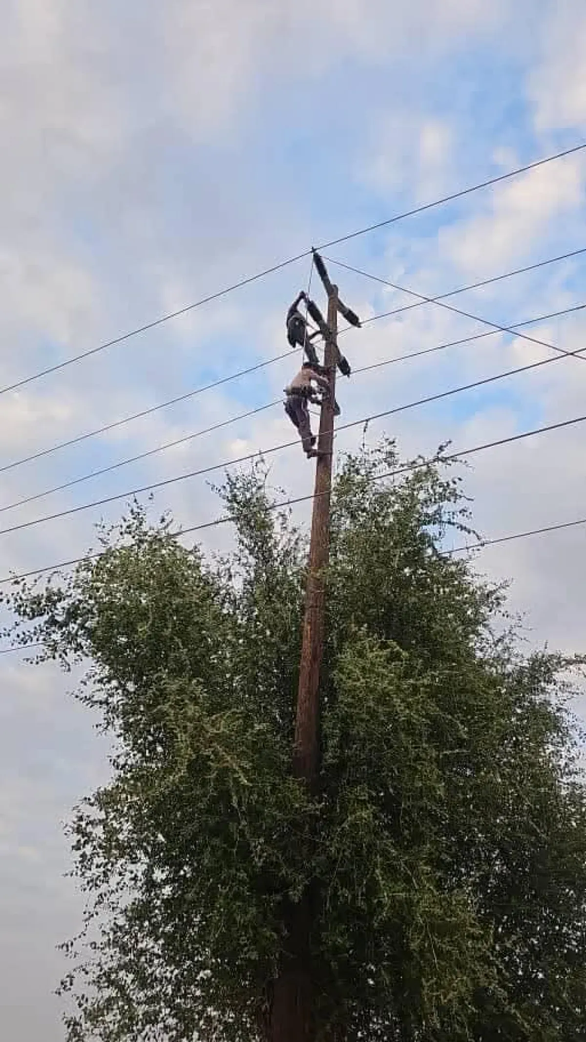 كهرباء مأرب تعلن صيانة وإضافة خط جديد لمنطقة الروضة