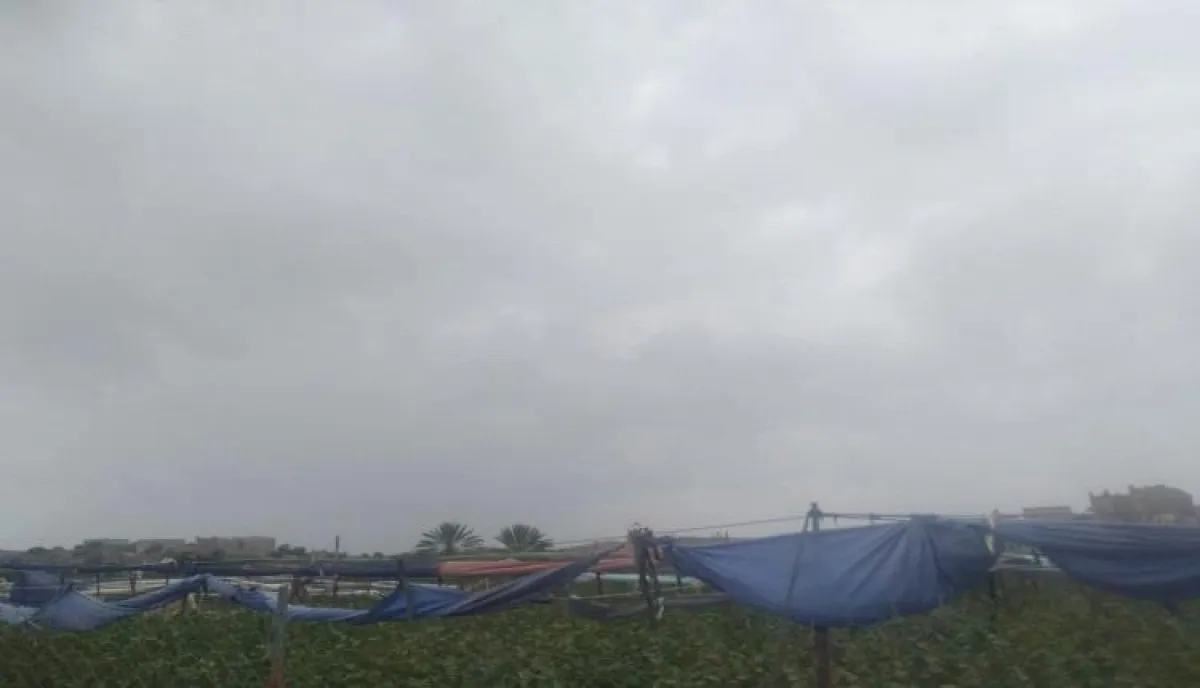 في اليمن | كتل هوائية باردة ستضرب هذه المناطق خلال الأسبوع القادم.. وخبير فلكي يحذر