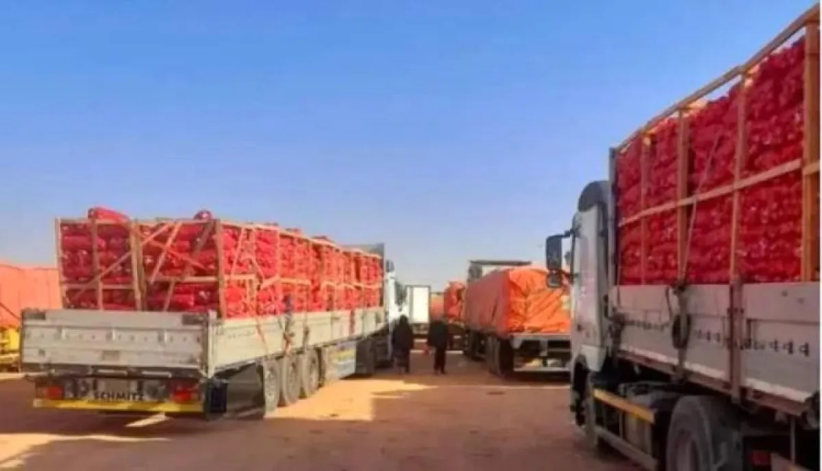 حالة ازدحام غير مسبوقة | خسائر فادحة بالملايين.. مئات الشاحنات محملة بالبضائع متوقفة في منفذ الوديعة