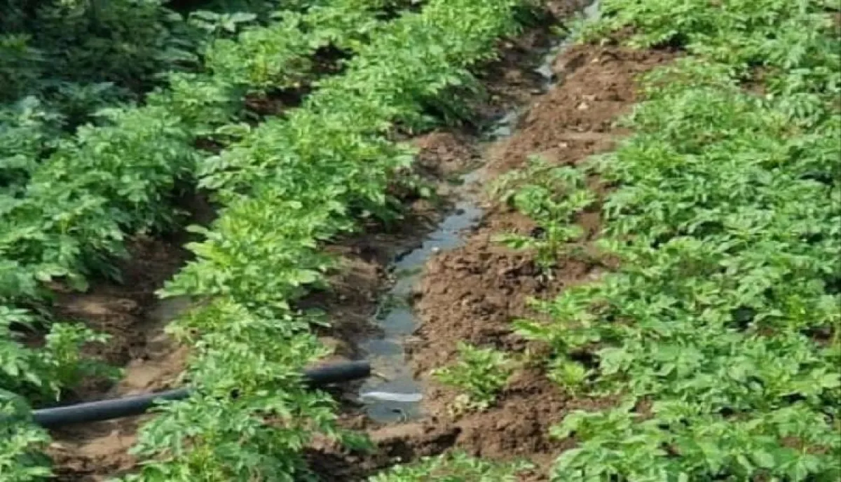 فجر قنبلة مودية | صرخة من الداخل.. قيادي حوثي بارز يقرّ بـ "وصمة عار" تلاحق الجماعة في إب