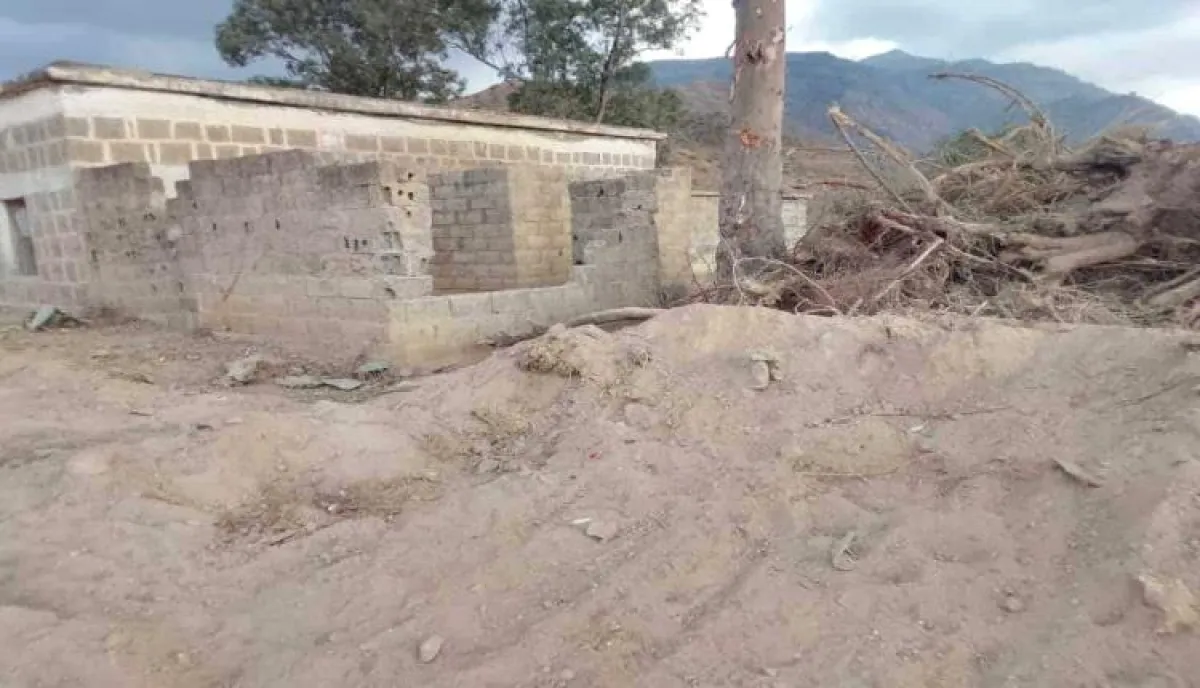 في إب | سطو "أخضر" على قدسية التعليم: غضب عارم بالمحافظة إثر تحويل ساحة مدرسة "سحول بني سواده" إلى مزرعة قات