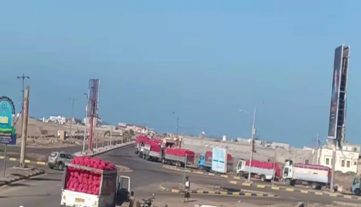 نشاط لافت .. ميناء المخا يعود للحياة مع حركة تصدير قياسية للبصل المحلي