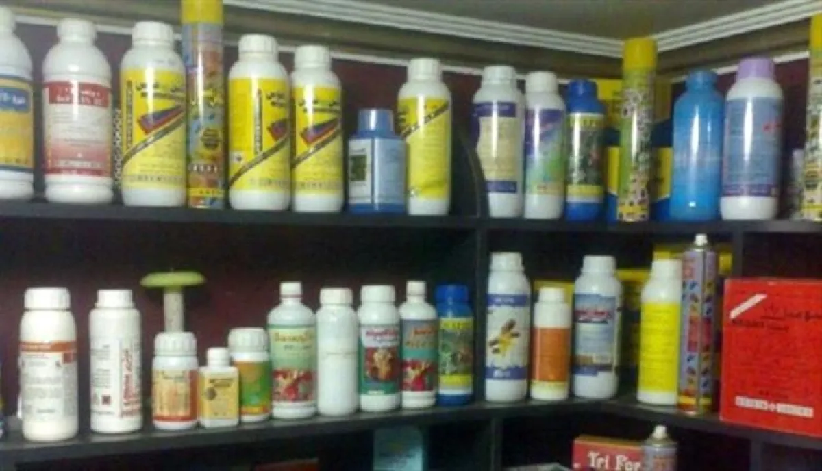 شاهد | تجارة الموت الأخضر: كيف حولت مليشيا الحوثي مزارع اليمن إلى "حقول تجارب" للسموم المحظورة؟ إمبراطورية "دغسان" والحماية الفوقية