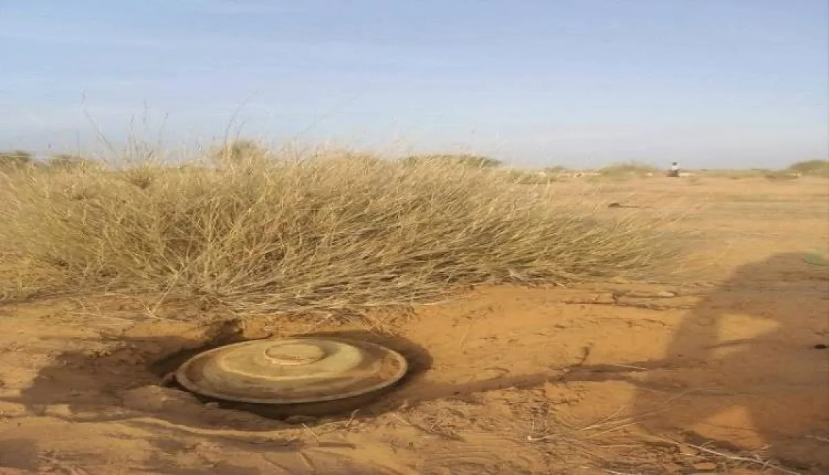 في الخوخة .. إصابة شابين بانفجار لغم من مخلفات الحوثي بالسعيدية
