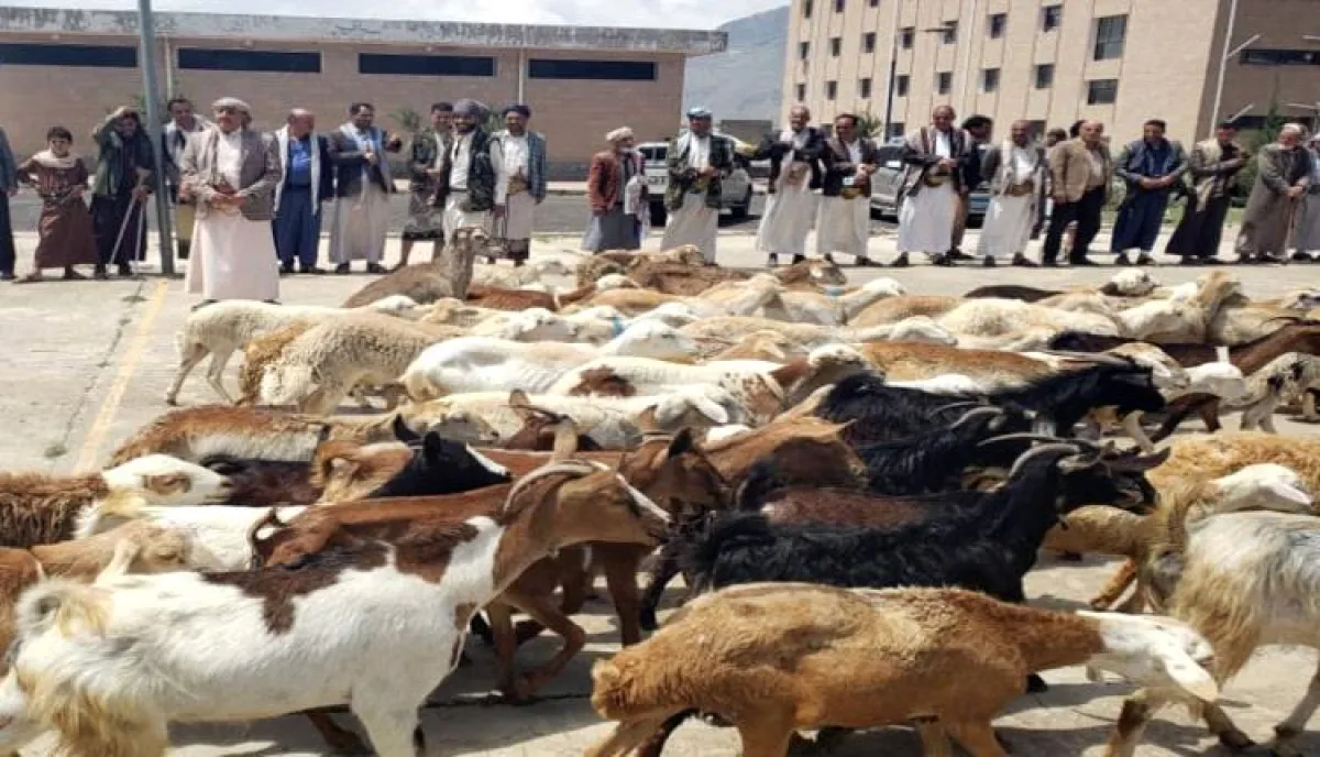 العيد المر في صنعاء.. الحوثيون ينهبون "لقمة الفرح" من أفواه الجائعين لتمويل جبهاتهم وتقارير دولية: سياسات الحوثي تفاقم المجاعة وسوء التغذية