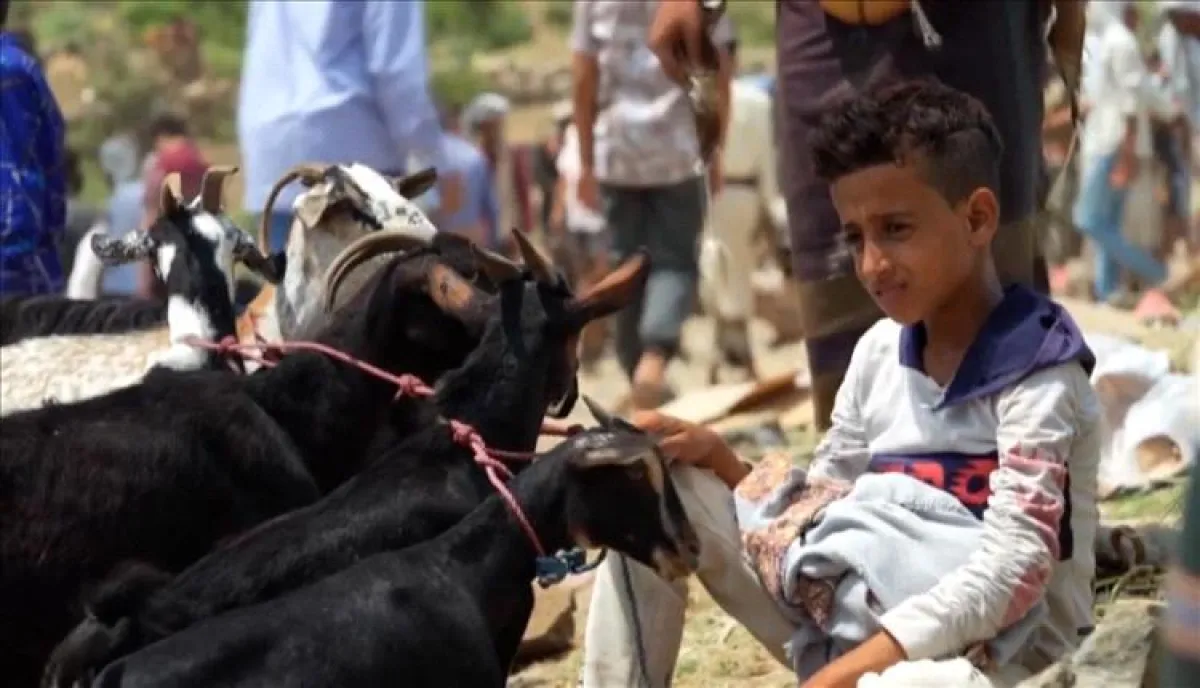 في اليمن | العيد بلا فرحة.. مقصلة "الرواتب المقطوعة" والارتفاع الجنوني للأضاحي تخنق العائلات اليمنية