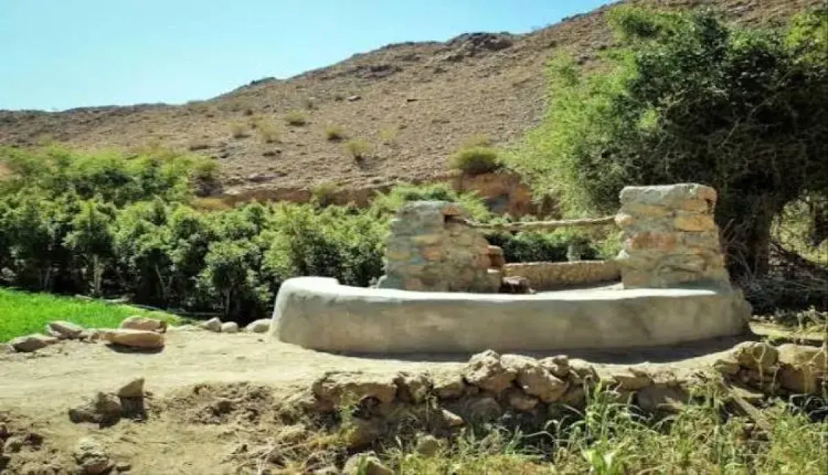 حرب (العطش) الحوثية تفجر غضباً عارماً في إب.. المليشيا تردم آبار (حبير) وتتوعد منقذي الخيام بالسجن