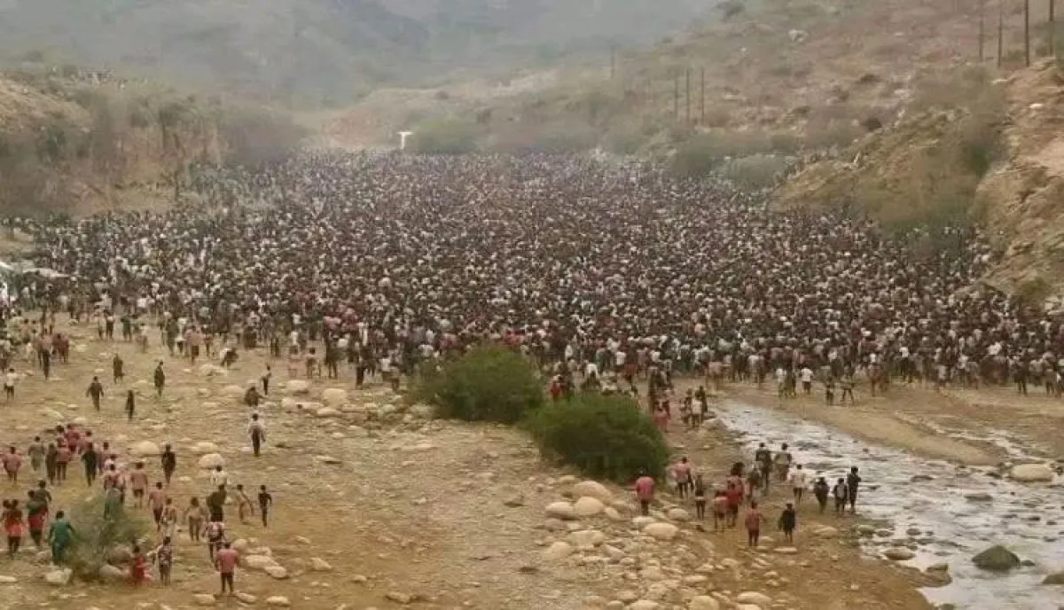 شاهد | اليمن يواجه غزوًا من نوع آخر.. مهاجرون مسلحون يهددون سيادة اليمن ويرعبون المواطنين في صعدة