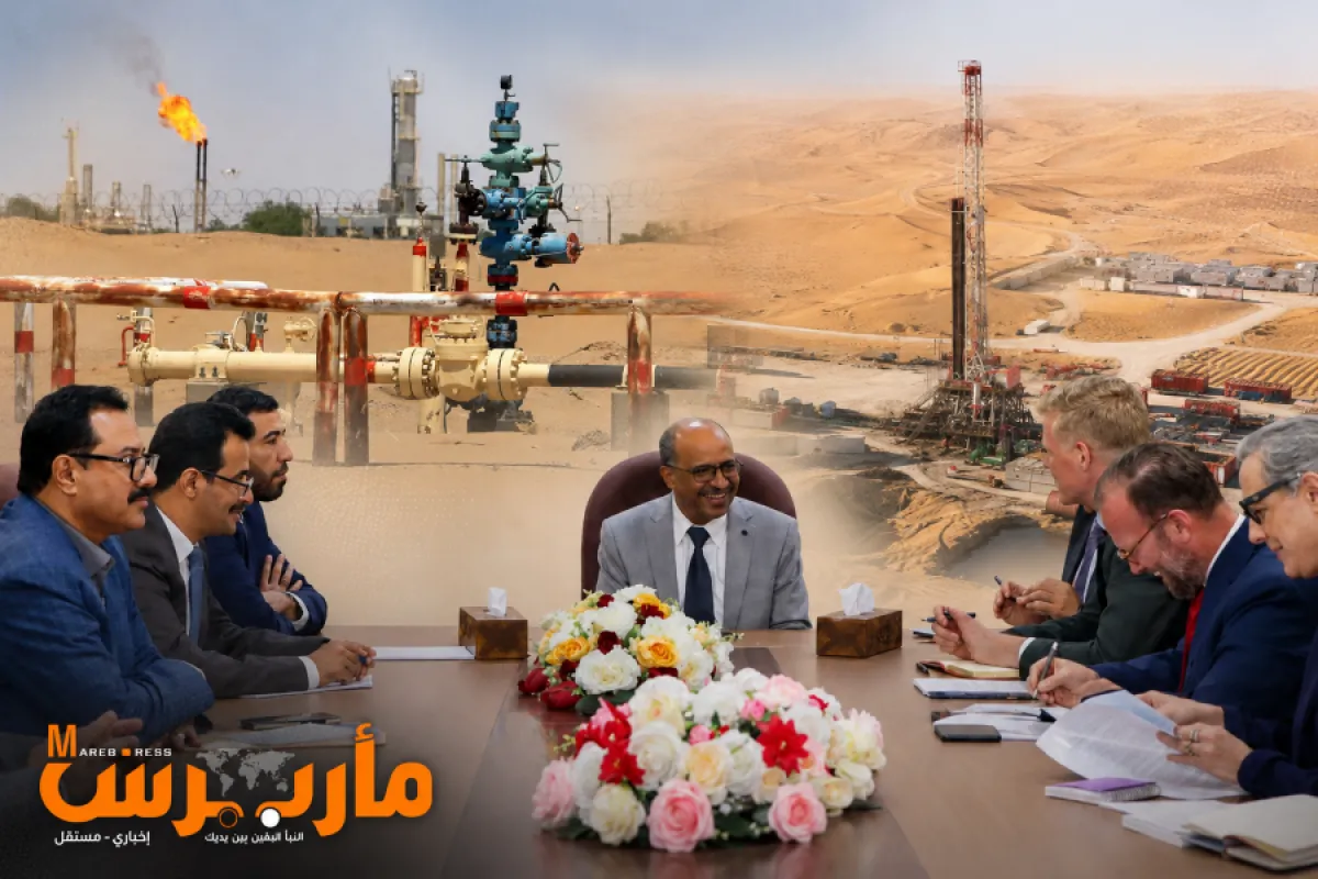 تأجيل قرار بشأن دعم الطاقة المتجددة حتى عام 2026