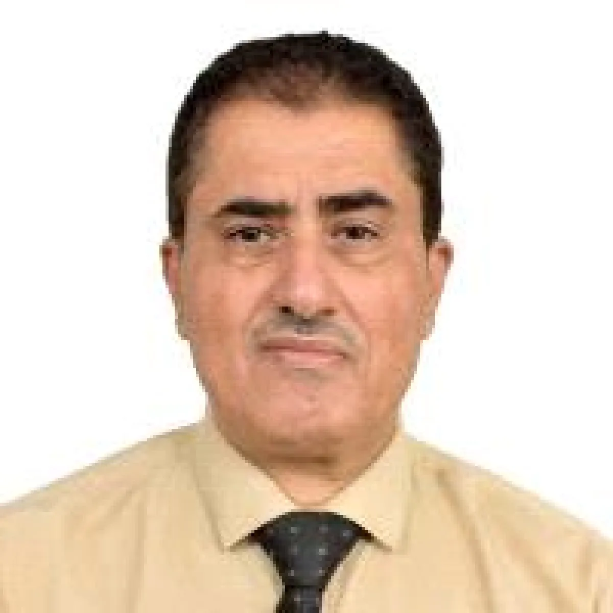 تحرير اليمن من الحوثي اقترب... فهل أصبح اليمنيون جاهزون للحظة الحسم؟