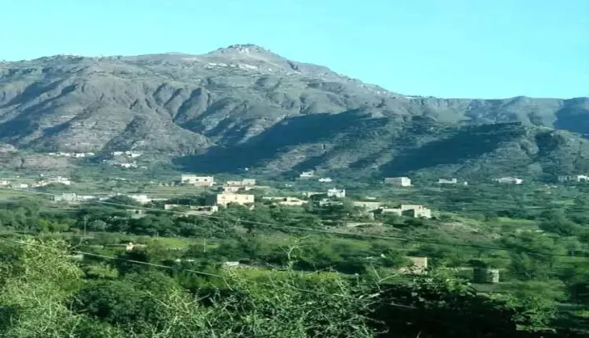 في تعز .. القوات الحكومية تصد هجوم حوثي في الشقب ومواجهات محتدمة بالمسراخ وجبل حبشي