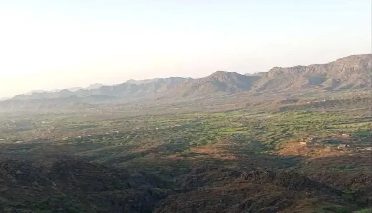 تراجع حوثي وفرار جماعي.. القوات الجنوبية وقبائل الصبيحة تحرزان تقدماً ميدانياً في جبهة (المضاربة) بلحج