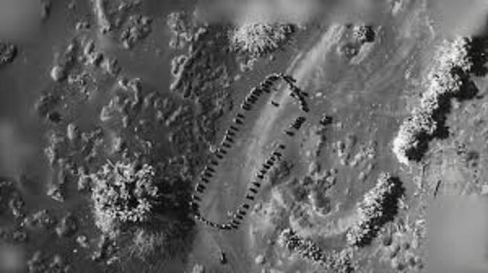 القصف الأمريكي والمراكز الصيفية وكسرة الخبز المفقودة في اليمن