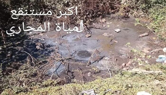 في تعز .. غزو البعوض يجتاح تجمعات سكانية بالمظفر ويهدد حياة الأهالي بالأرق والمرض