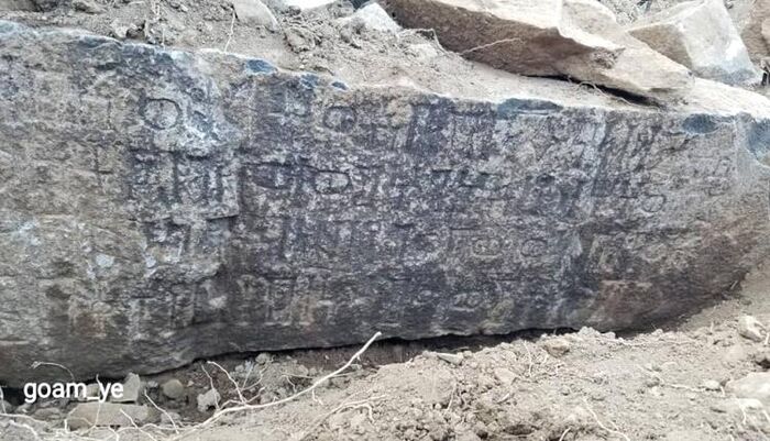 في اليمن | مرض قاتل وصل من افريقيا ينتقل من عدن إلى هذه المحافظات | اسماء وتفاصيل