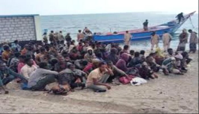 تحذيرات | تدفّق مستمر وتهريب منظم.. موجة 3 من المهاجرين الأفارقة تضرب سواحل شبوة في شهر واحد