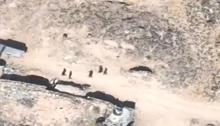 شاهد| فضيحة اخلاقية تهز اليمن : "جهاد المتعة" في خنادق الحوثيين.. الزينبيات إلى الجبهات لإشباع الغرائز لا القتال | فيديو