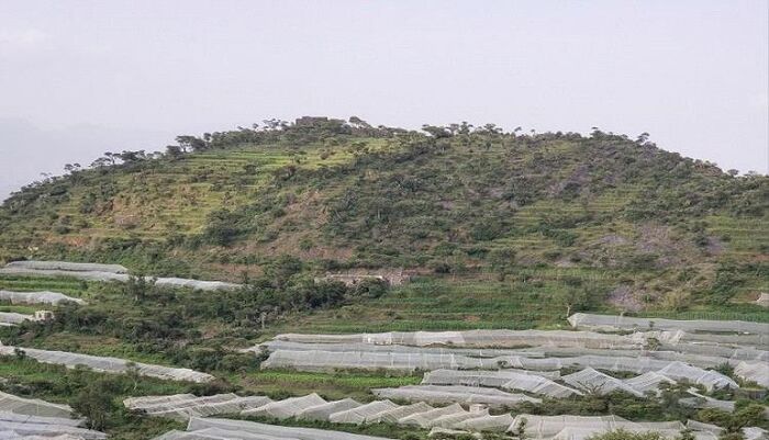 بشرى للمزارعين .. فلكي يمني يبشر بانتهاء الصقيع بهذا التوقيت | تفاصيل