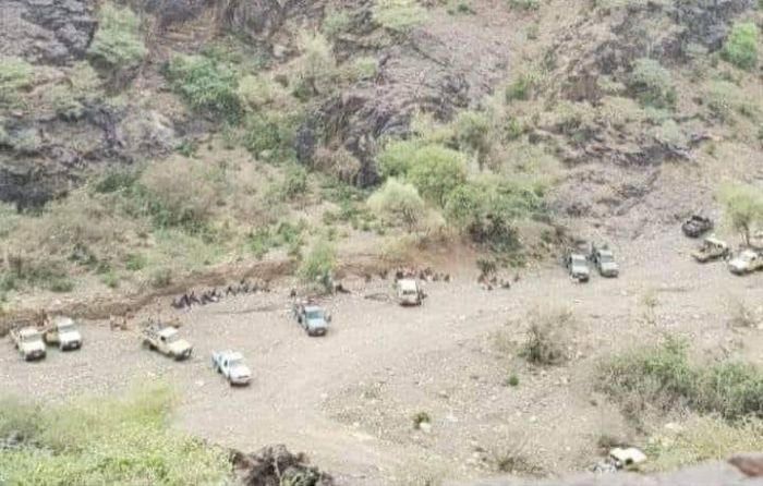 في اليمن | مليشيا الحوثي تواصل استهداف السلفيين وتقتحم مسجدًا للجماعة في خمر وتختطف شيخًا وعددًا من الطلاب