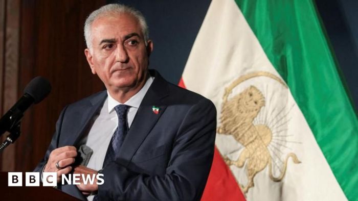 نجل الشاه المخلوع يدعو دولياً لدعم الإطاحة بحكومة إيران